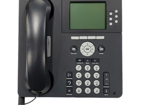 AVAYA9630